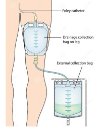 11061901 Worek Do zbiórki Moczu 0,35 L Dren 30 cm Leg Bag Premium Przezroczysty MBH QUFORA