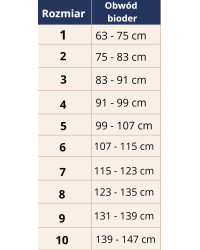 Pas Na Ból Kręgosłupa Odcinek Lędźwiowo Krzyżowy Orliman EV-101