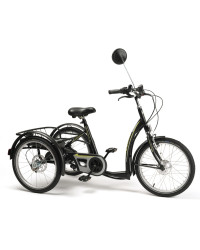 FREEDOM-E Elektryczny Rower Rehabilitacyjny Trójkołowy dla Młodzieży i Dorosłych Vermeiren