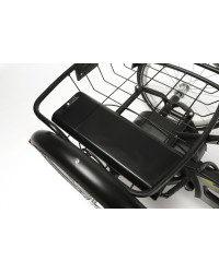 FREEDOM-E Elektryczny Rower Rehabilitacyjny Trójkołowy dla Młodzieży i Dorosłych Vermeiren