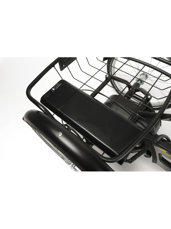 FREEDOM-E Elektryczny Rower Rehabilitacyjny Trójkołowy dla Młodzieży i Dorosłych Vermeiren