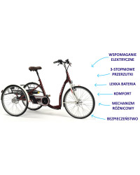 Elektryczny Trójkołowy Rower Rehabilitacyjny dla Dorosłych Lagoone-E Vermeiren