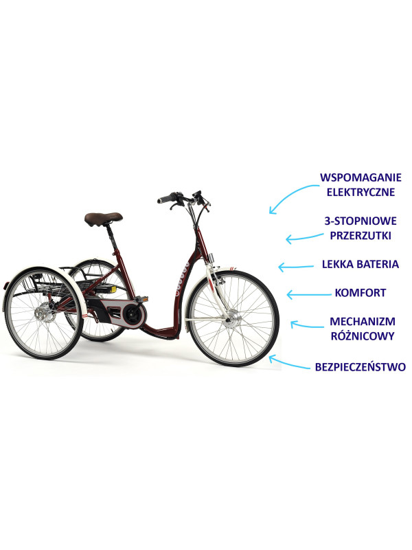 Elektryczny Trójkołowy Rower Rehabilitacyjny dla Dorosłych Lagoone-E Vermeiren