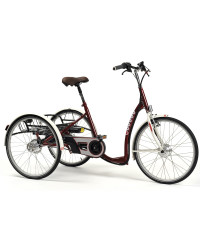 Elektryczny Trójkołowy Rower Rehabilitacyjny dla Dorosłych Lagoone-E Vermeiren