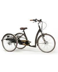 VINTAGE-E: Elektryczny Rower Rehabilitacyjny Trójkołowy Vermeiren dla dorosłych w Stylu Retro