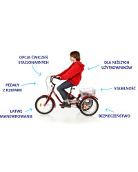 Rower trójkołowy TOLEK 16” – kompaktowy, stabilny, bezpieczny