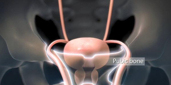 Problemy urologiczne - jak sobie z nimi radzić?